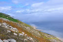 Finisterre II