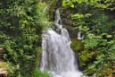 Las fuentes del Llobregat (Castellar de n'Hug) - Barcelona
