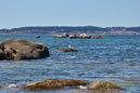 Ria de Arousa