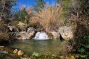 Rio Alhárabe (Moratalla) - Murcia